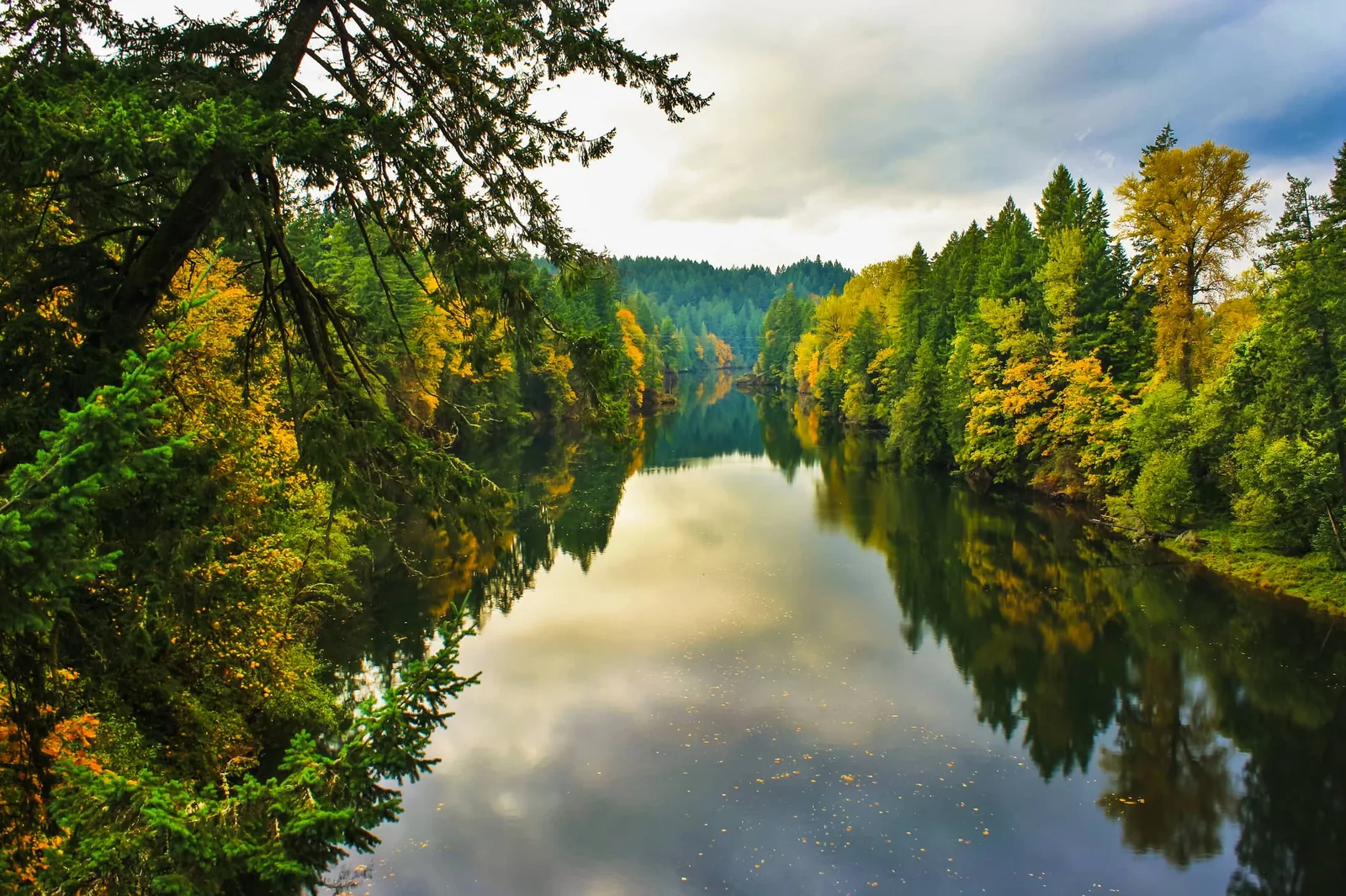 Clackamas River near Damascus Oregon